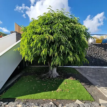 Juanita, Puerto Del Carmen, Lanzarote *