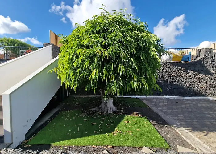 Juanita, Puerto Del Carmen, Lanzarote *